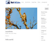 Tablet Screenshot of mattmcguire.com